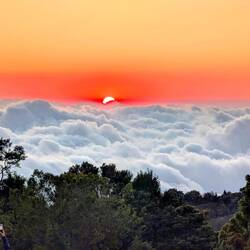 Reinhard May: über den Wolken,..........