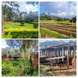 Übernachten wir auf einer Farm