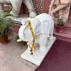 Tja und dann?! Dann wurde der Schwarzwaldbub schwach!