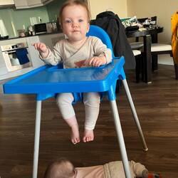 Staubsauger oder Hund brauchen wir doch nicht 🤭