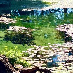 Ga Segonyana or Kuruman Eye