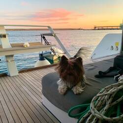 Whiskey in a good mood 🥰