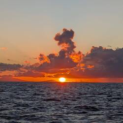 Sonnenuntergang neben Monserat