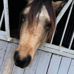 Also ich kann kein Wässerchen trüben