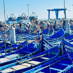 Fischerboote