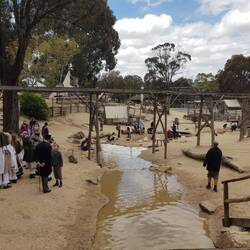 I wonder if the kids found any gold?