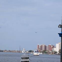 Marine Corps Ospreys flying over the Wilmington historic district