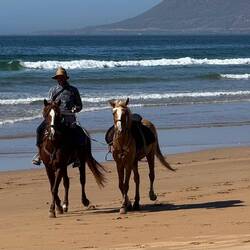 Hier die Antwort 🤣