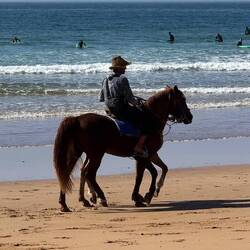 Klären wir die Frage, wieviele Beine hat ein Pferd für Offroad- Einsatz? 🤔