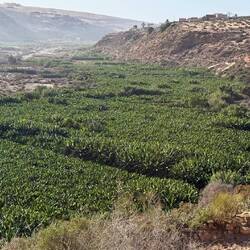 ... soweit das Auge reicht 😋