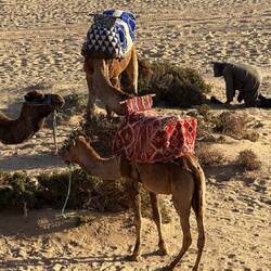 ... 5 mal täglich zum Gebet