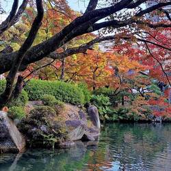 After Nunobiki, we went to the Sorakuen Garden.