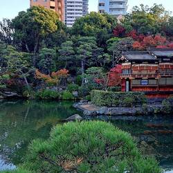 In the middle of the city, the gardens have apparently been unchanged for over a century.