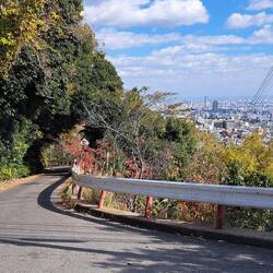 Part of our walkway down.