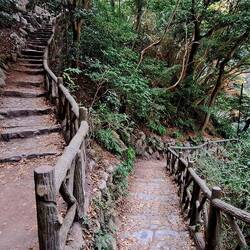 Another part of our downward path.