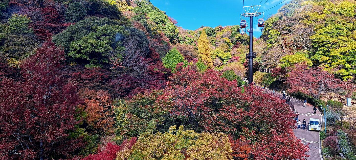 View from the 'ropeway'.