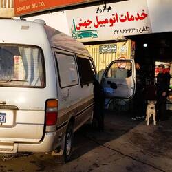 ..and Lola got some care as well.