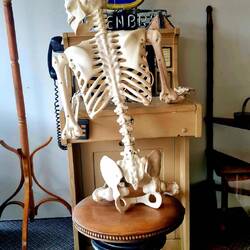 Diät kann auch übertrieben werden