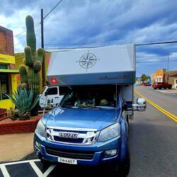 Die Kaktüsser 🤣 sind richtig gross