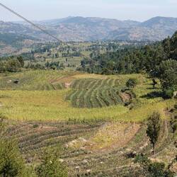 Unterwegs wird es grün