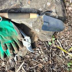 Zo hard gewerkt om dikke graswortels eruit te krijgen dat het schepje kapot ging