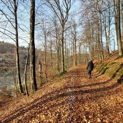 Da kann man doch nicht meckern.