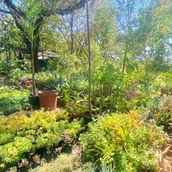 Nursery in wunderschön