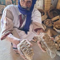 Molaires de mammouth