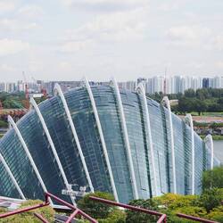 Gewächshaus / Greenhouse