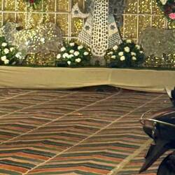 ...s' kommt leider nicht so richtig raus die Opulenz.