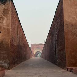 Normalerweise ist der Boden vor lauter Menschen nicht zu sehen -so sagt Adi-.