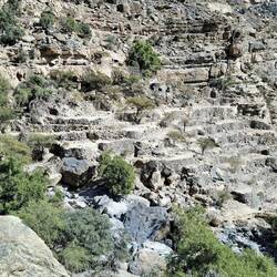 Sie haben hier tatsächlich Landwirtschaft betrieben.