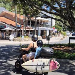Surfspot Noosa Heads