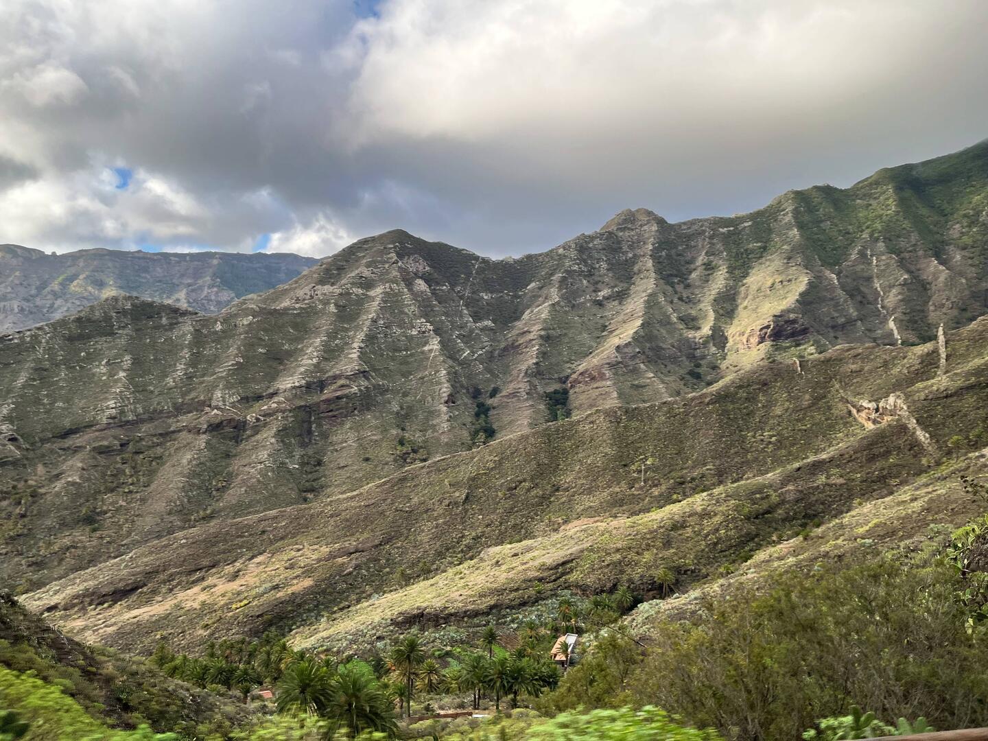 Topical island's terrain