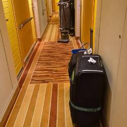 Das Zimmer ist fertig und die Koffer sind da.