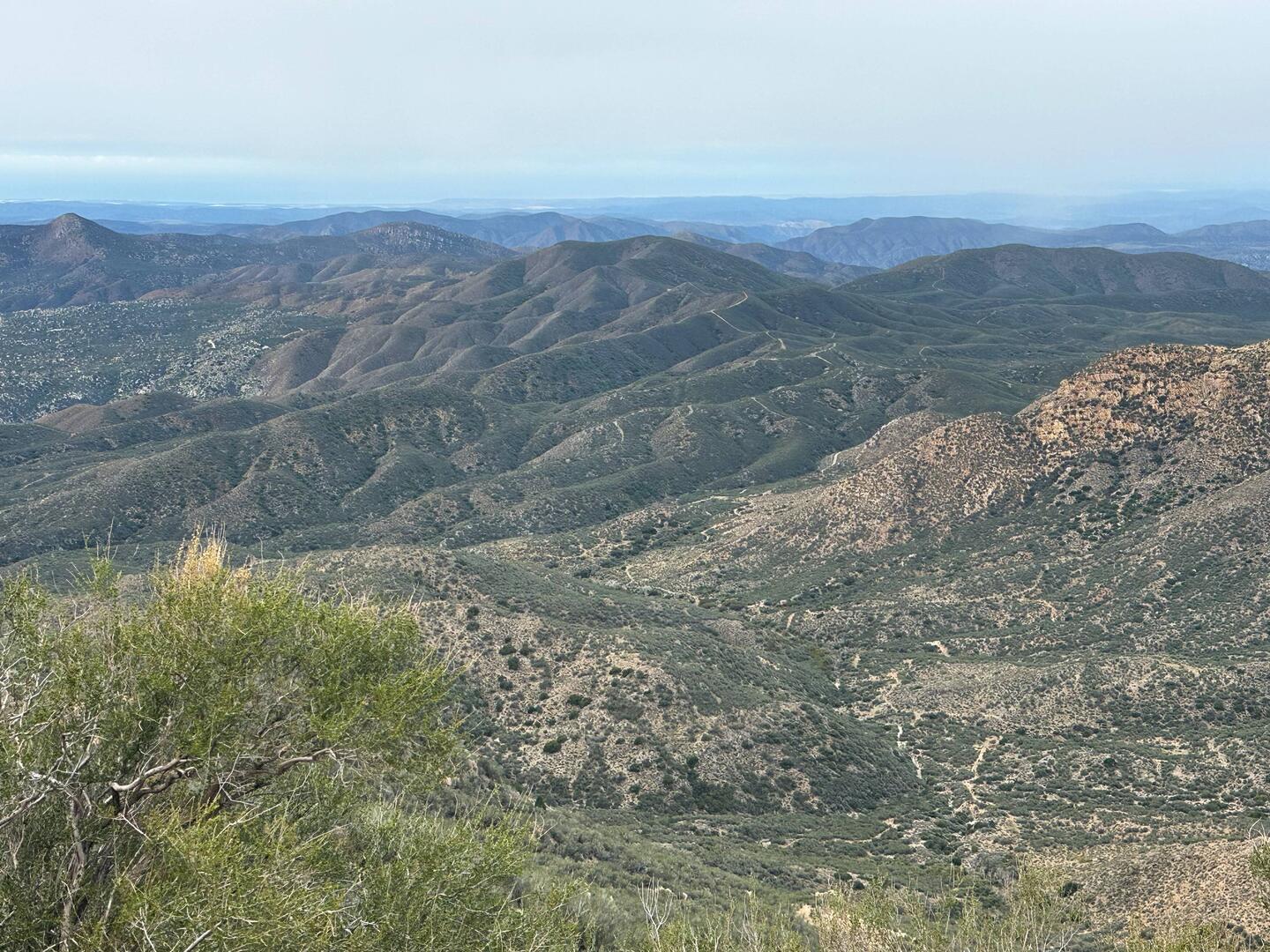 Sierra San Pedro Martir