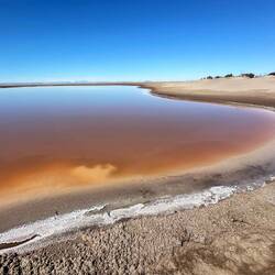 Laguna de San Ignacio