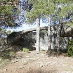 Kampf Elefant vs. Krokodil