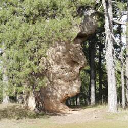 Das Gesicht des Manns