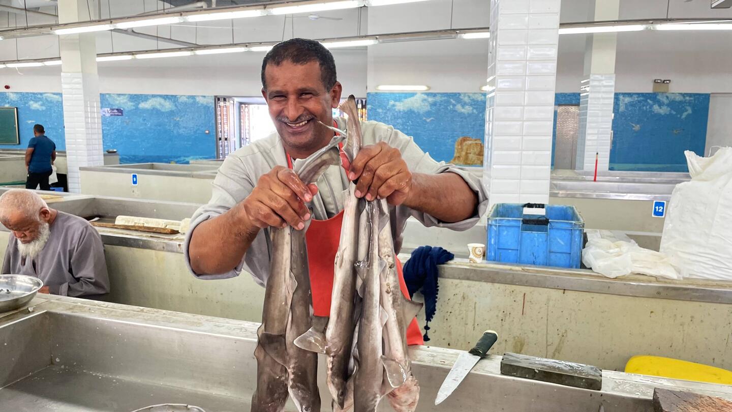 Spezialität: kleine Haie