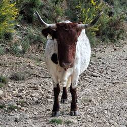 Qui soutiendra le regard de l'autre le plus longtemps 😂 ? Et qui reculera 😂 ?