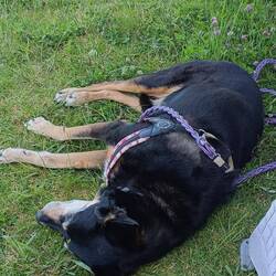 Repos bien mérité !