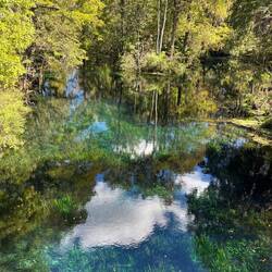 Clear spring water. It looks like a reflection but it's the grass on the bottom