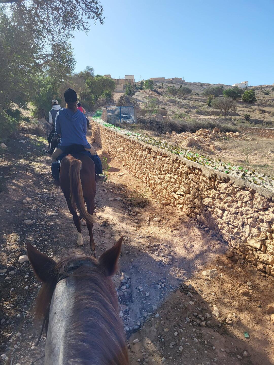 Hoch hinaus...um oben tolle Fotos zu machen!