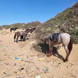 Der Müll überall erschreckt mich immer wieder....