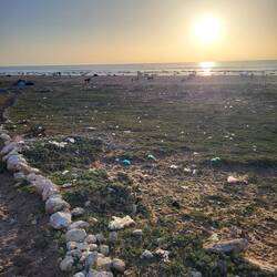 Das Leuchtende auf der Fläche ist alles Plastik!