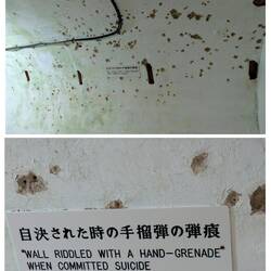 The Japanese Navy commanders committed suicide in the underground naval bunker in Okinawa June 1945