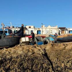 Fischer gibt's auch noch ...