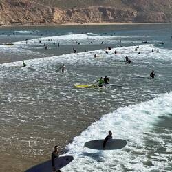 ... es werden immer mehr - am Nachmittag sind's dann mehrere Hundert