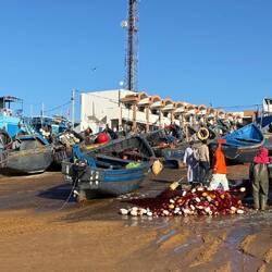... durch die Gezeiten müssen sie sich rein- und rausziehen lassen